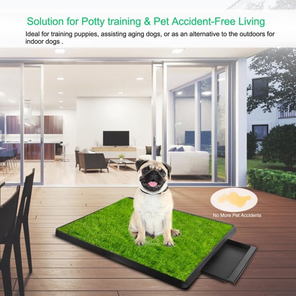 25" x 20" Artificial Grass Dog Potty with Removable Waste Tray W847573
