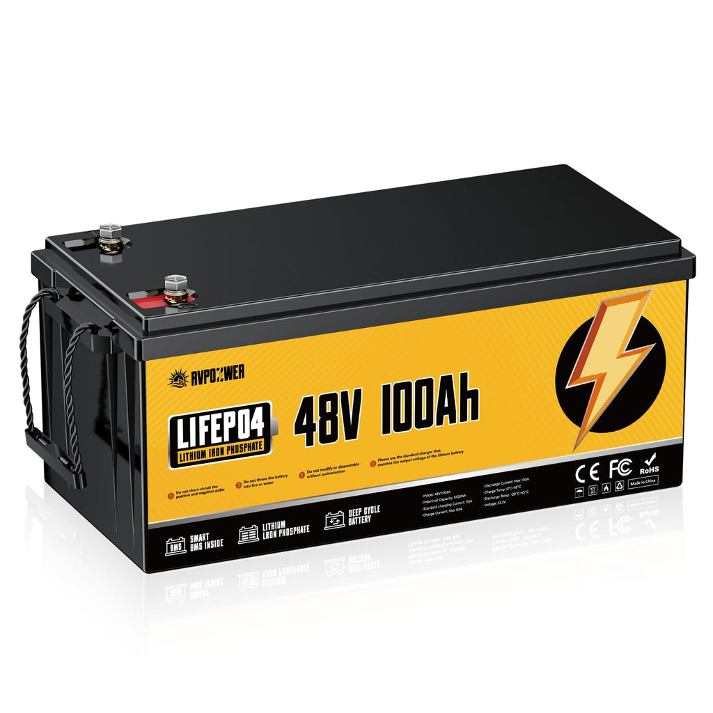48V 100Ah LiFePO4 Battery with 100A BMS O8446