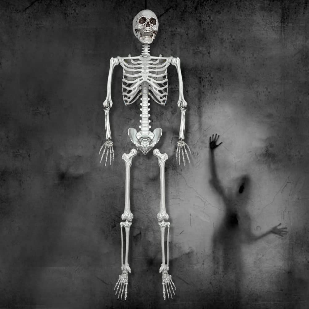 5.4Ft Life Size Human Skeleton with Movable Joints I35631