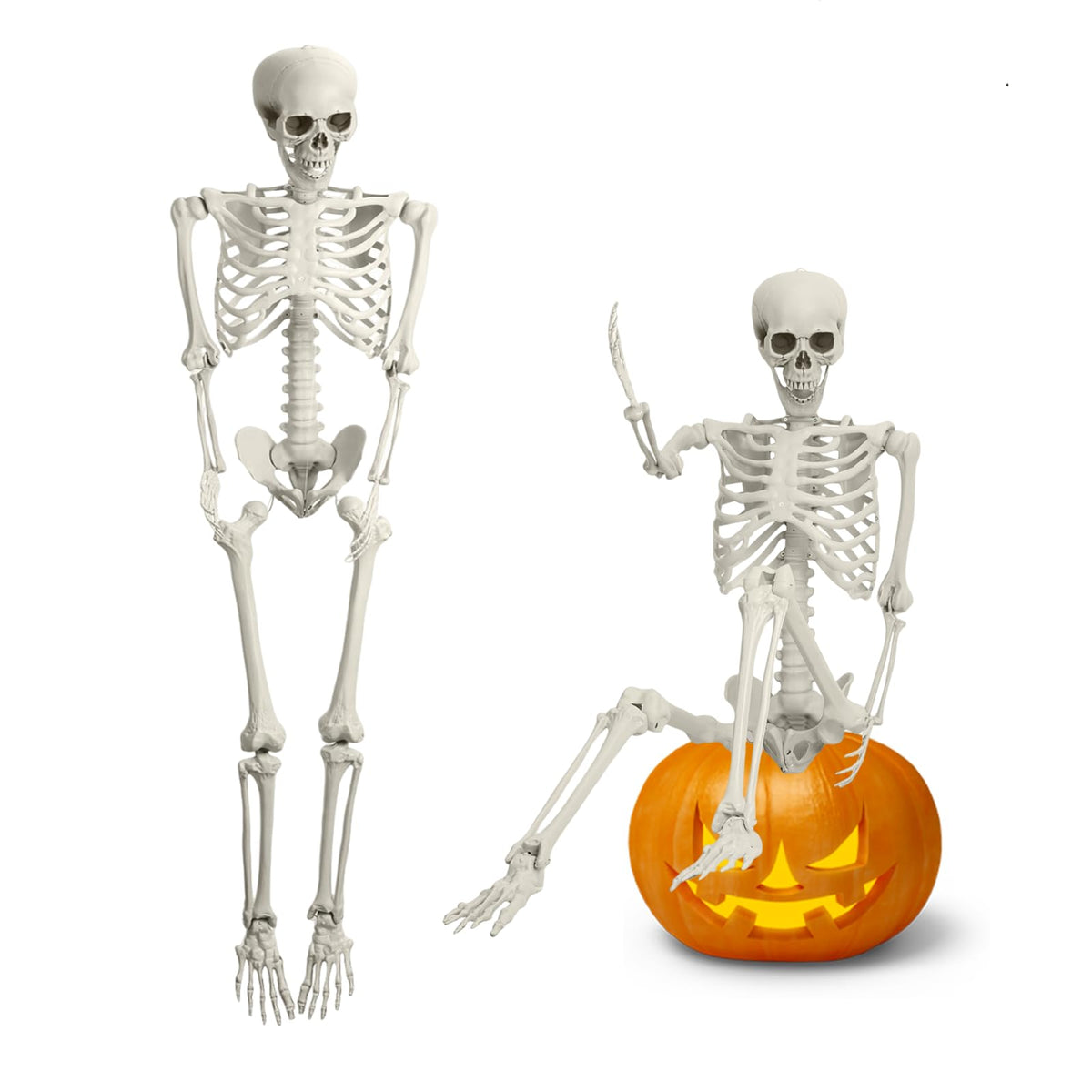 5.4FT Posable Full Body Skeleton with Movable Joints X109