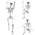 5.4Ft Life Size Human Skeleton with Movable Joints I35631