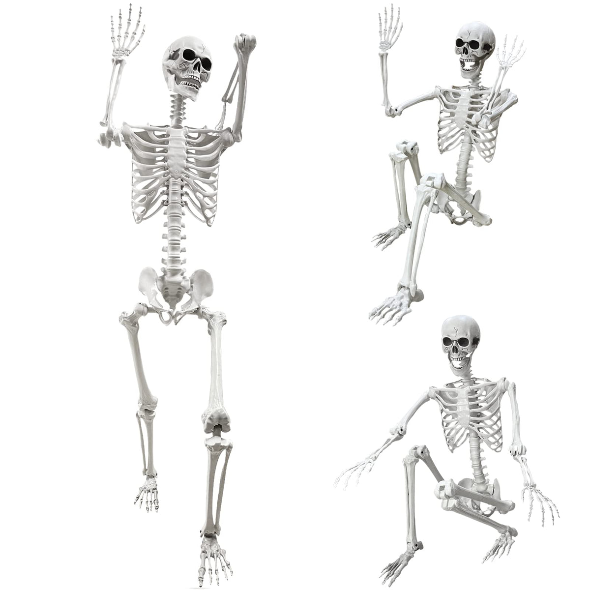 5.4Ft Life Size Human Skeleton with Movable Joints I35631