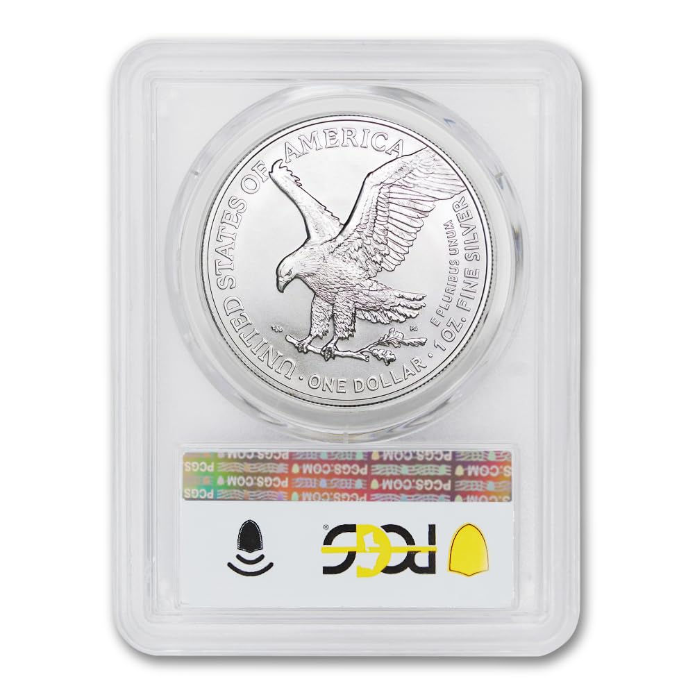 1 oz American Silver Eagle Coin MS-70 I338