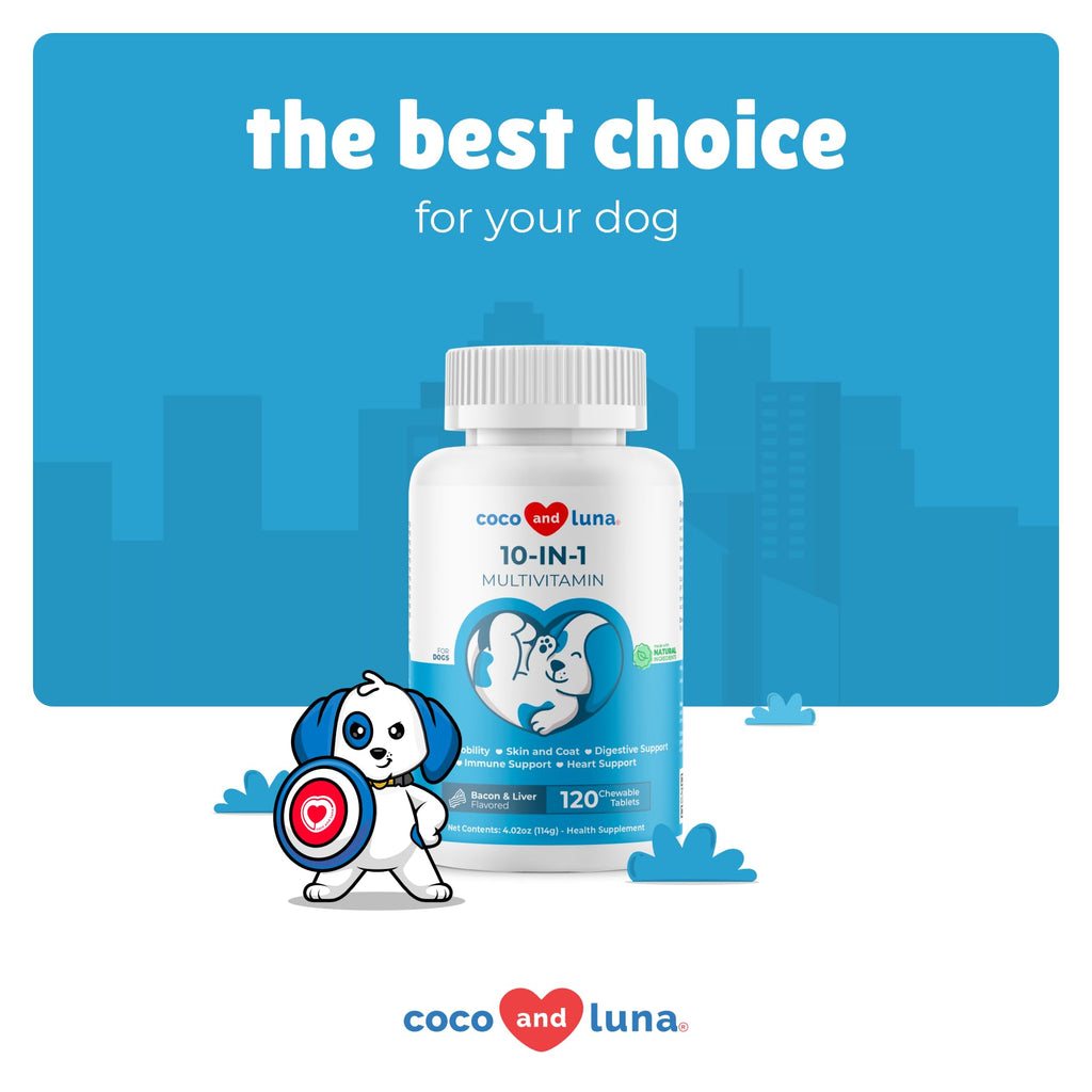 10 in 1 Multivitamin for Dogs H5419