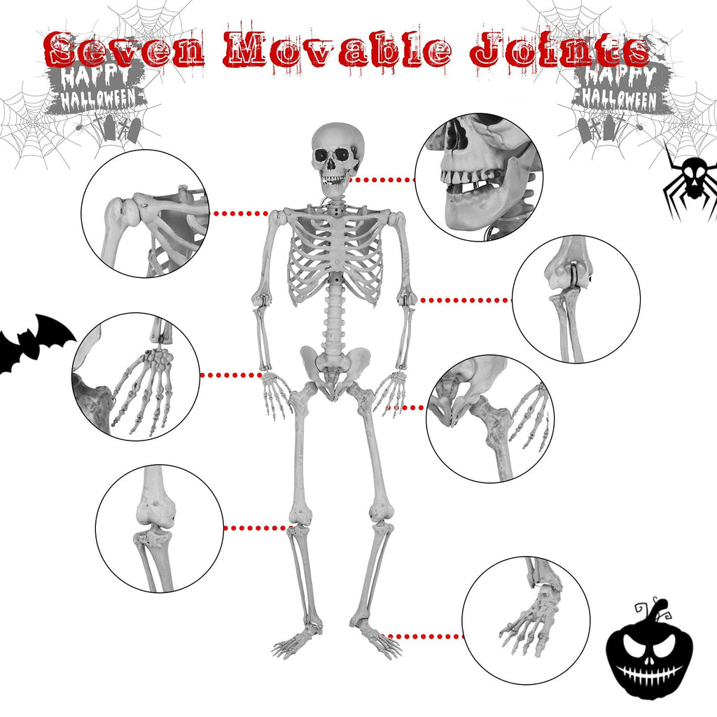 5.4 Ft Lighted Life Size Plastic Skeleton with Movable Joint Q6029