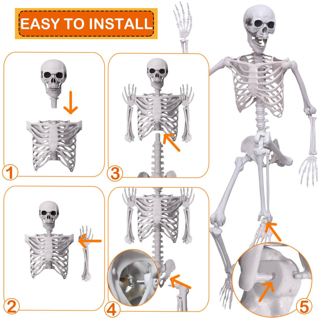 5.4Ft Life Size Human Skeleton with Movable Joints I35631