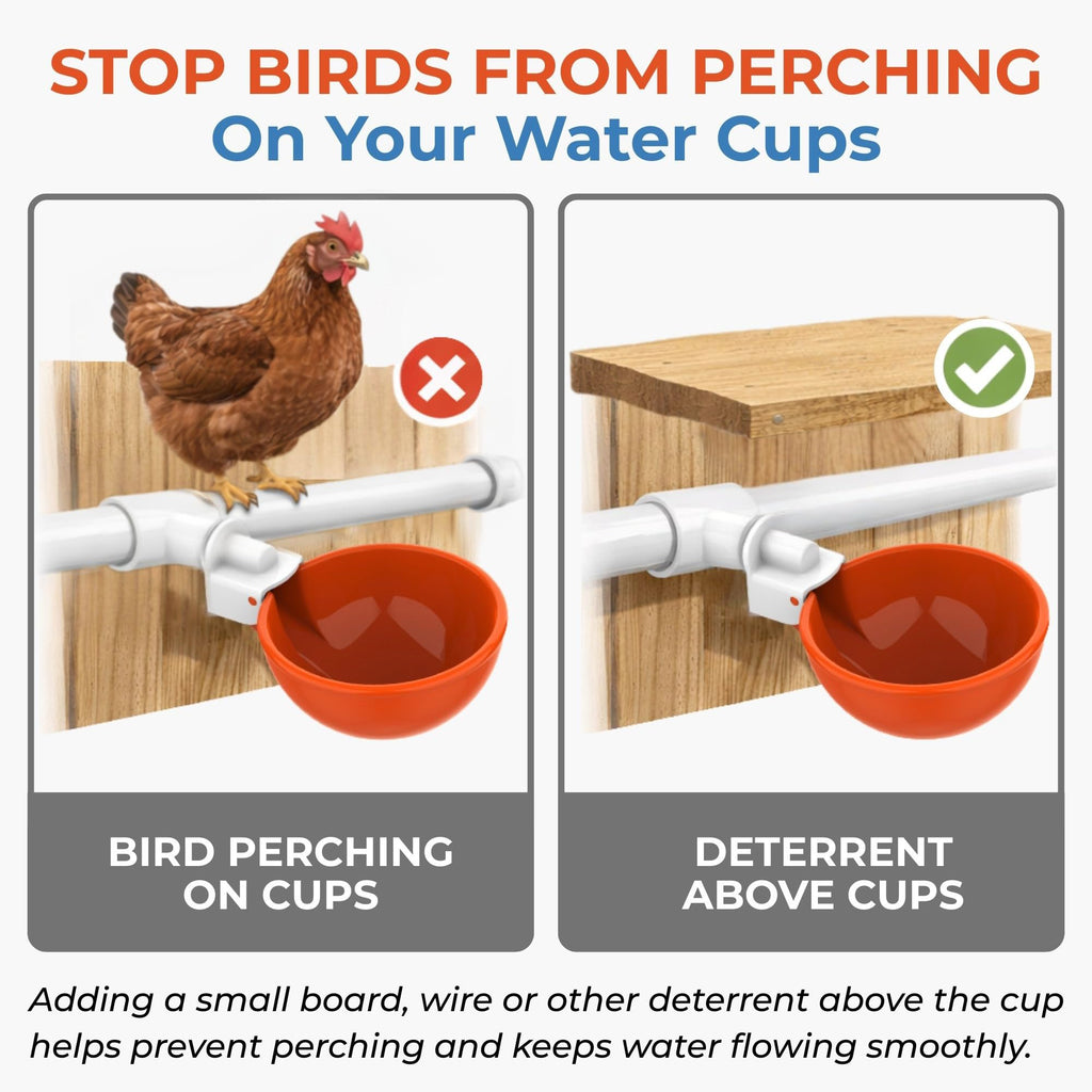 Large Automatic Chicken Waterer Cups with 1/2" PVC Tee Fittings 5-Pack Q2718