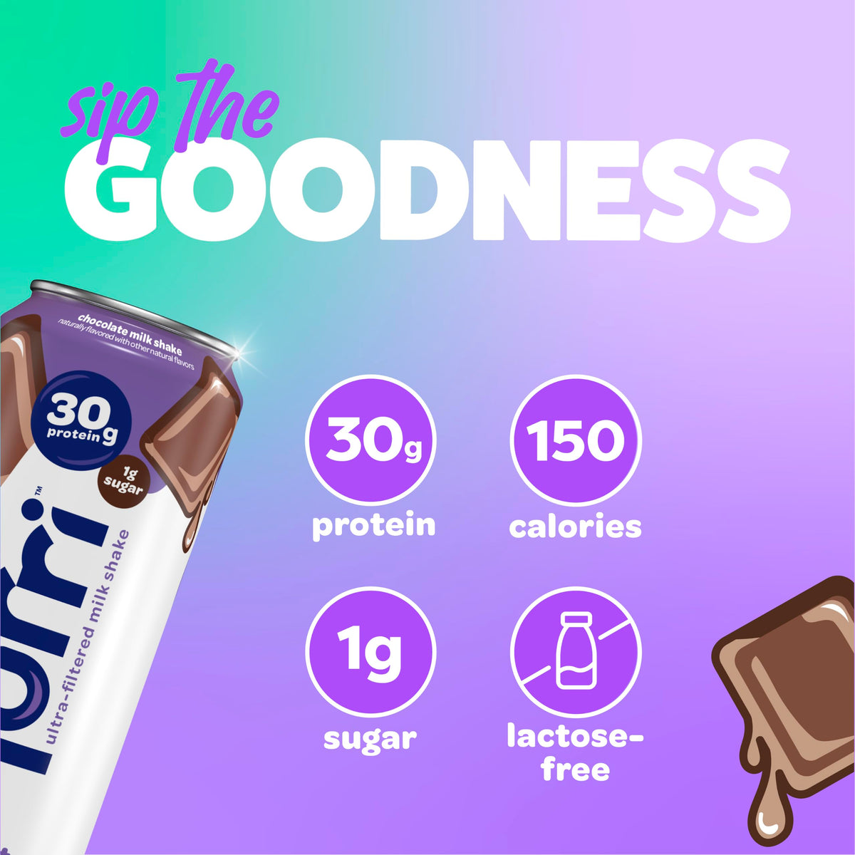 30g Protein Chocolate Lactose Free Milk Shake 12 Cans A875