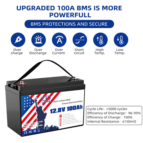 12V 100Ah LiFePO4 Battery L16561
