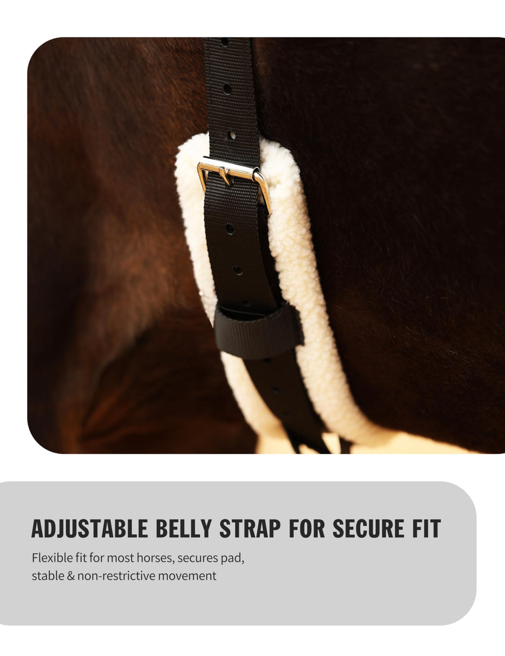 Western Bareback Pad with Girth M868271