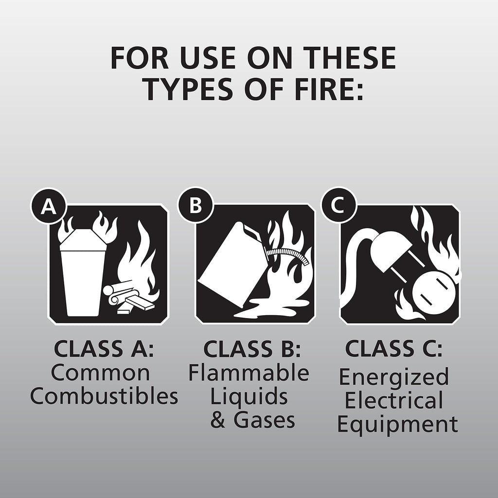 White 3.9 Lbs. Fire Extinguisher with Wall Mount I25083