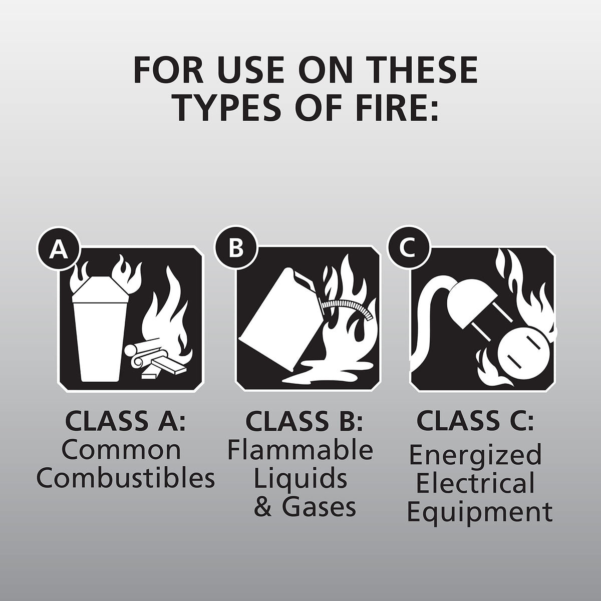 White 3.9 Lbs. Fire Extinguisher with Wall Mount I25083