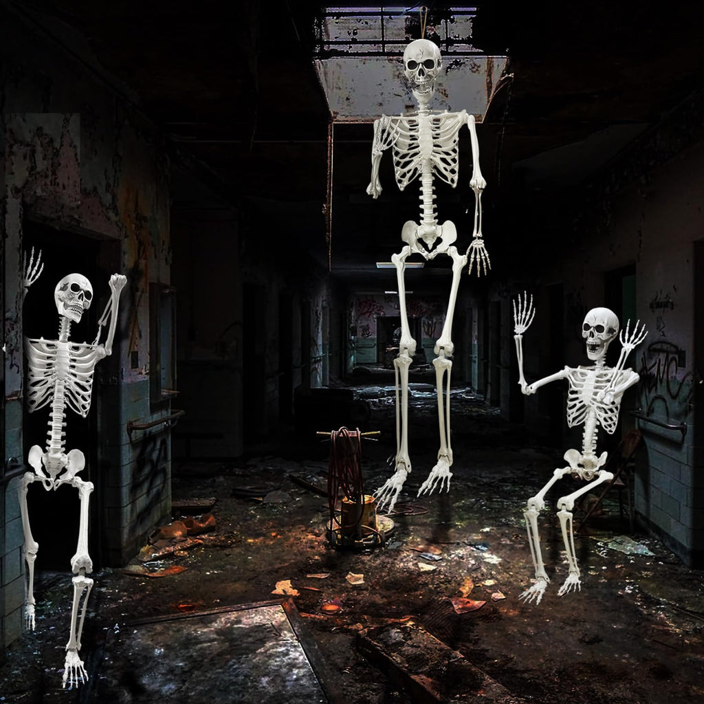 5.4Ft Life Size Human Skeleton with Movable Joints I35631