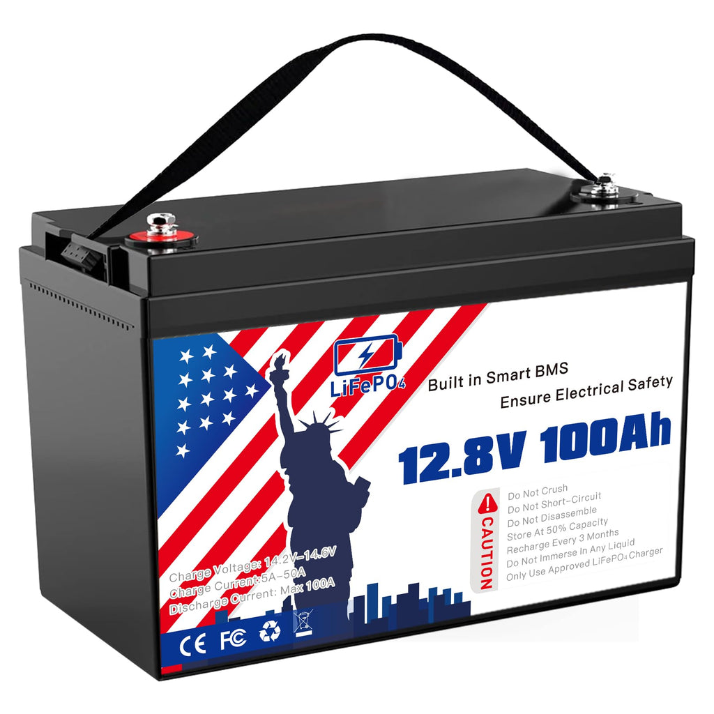 12V 100Ah LiFePO4 Battery L16561