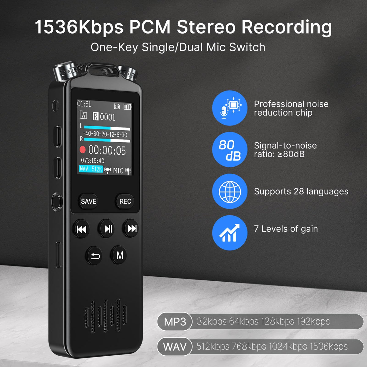 160GB Voice Recorder with Playback Z703