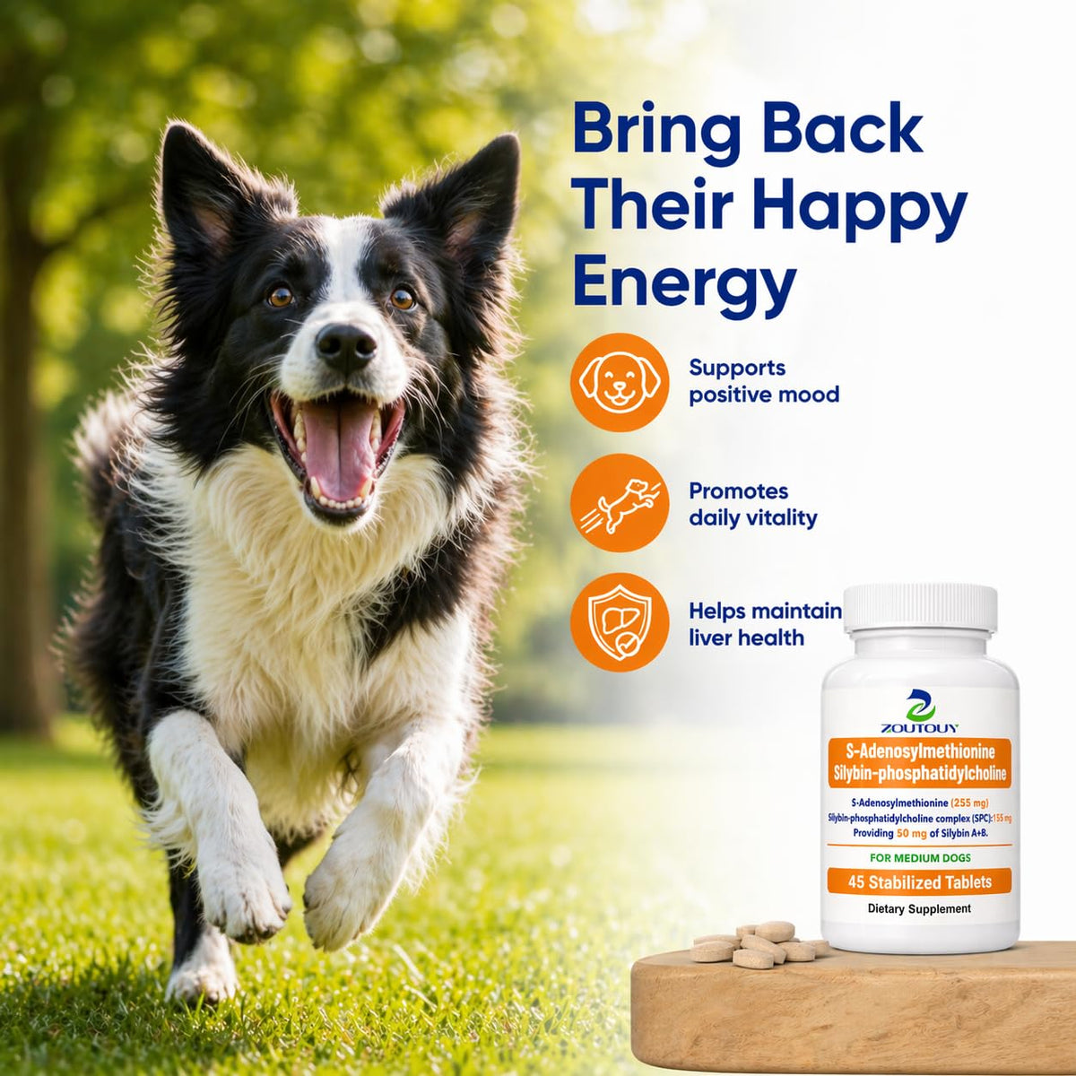 Silybin Tablets for Dogs D1205