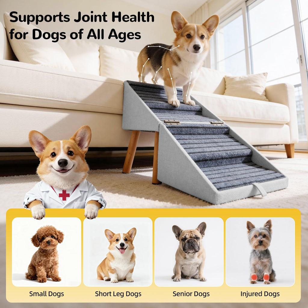 Dog Safety Ramp for Small Dogs Z626222