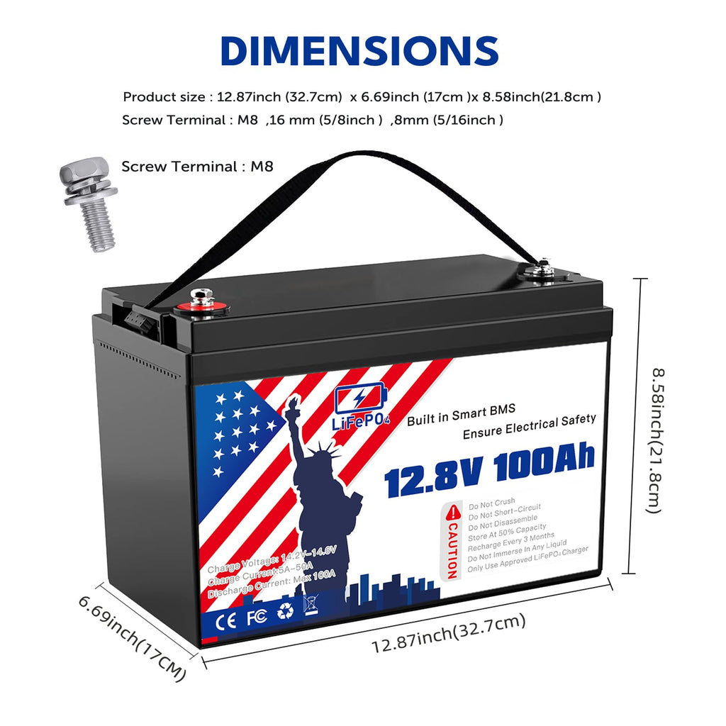 12V 100Ah LiFePO4 Battery L16561