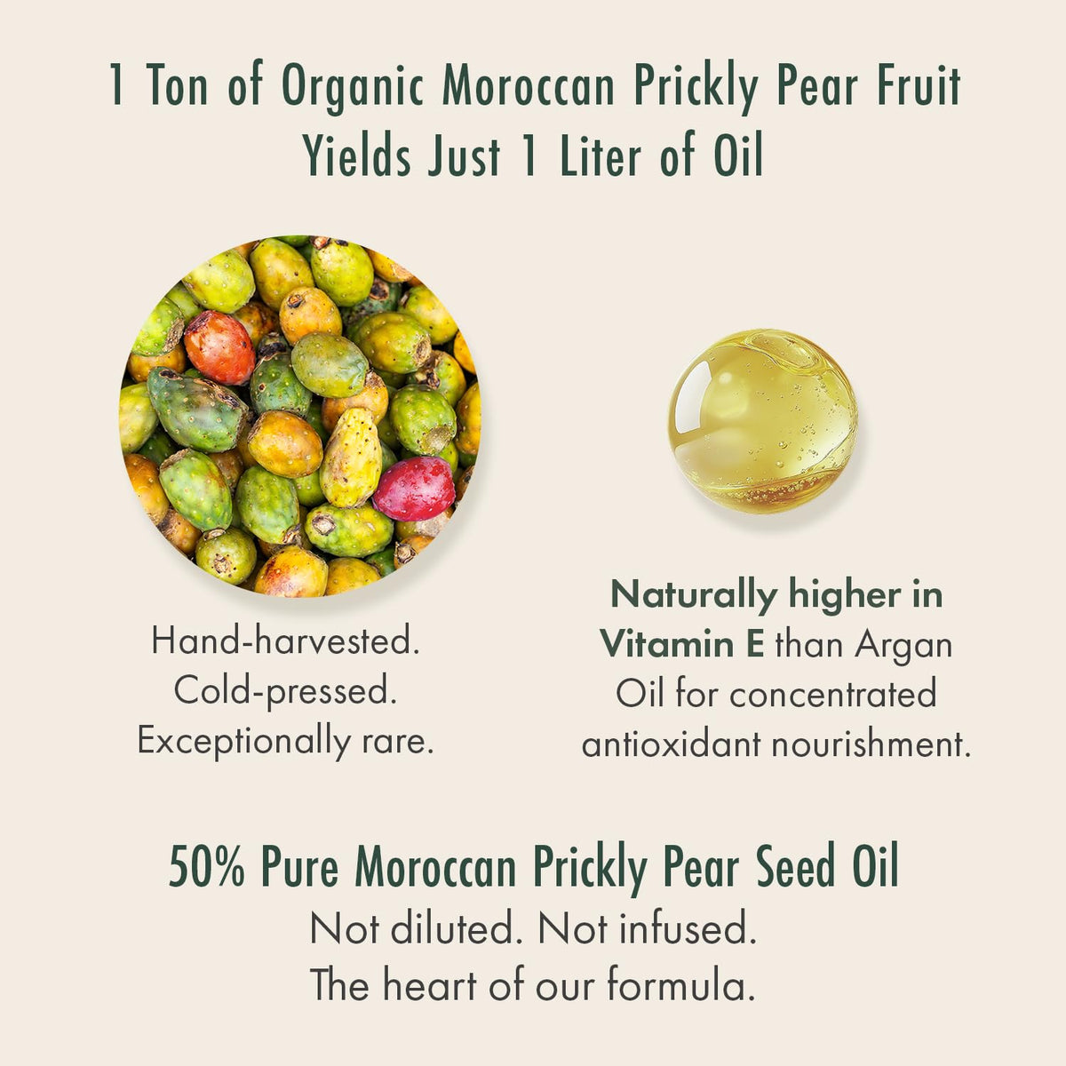 Organic Moroccan Prickly Pear Seed Oil & Camellia Face Oil 1oz I282506