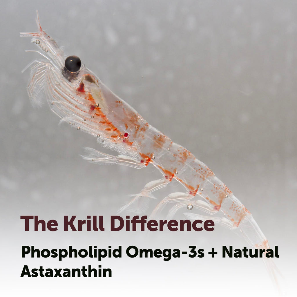 Antarctic Krill Oil 1,000 mg 300 Softgels Omega-3 EPA & DHA V3134