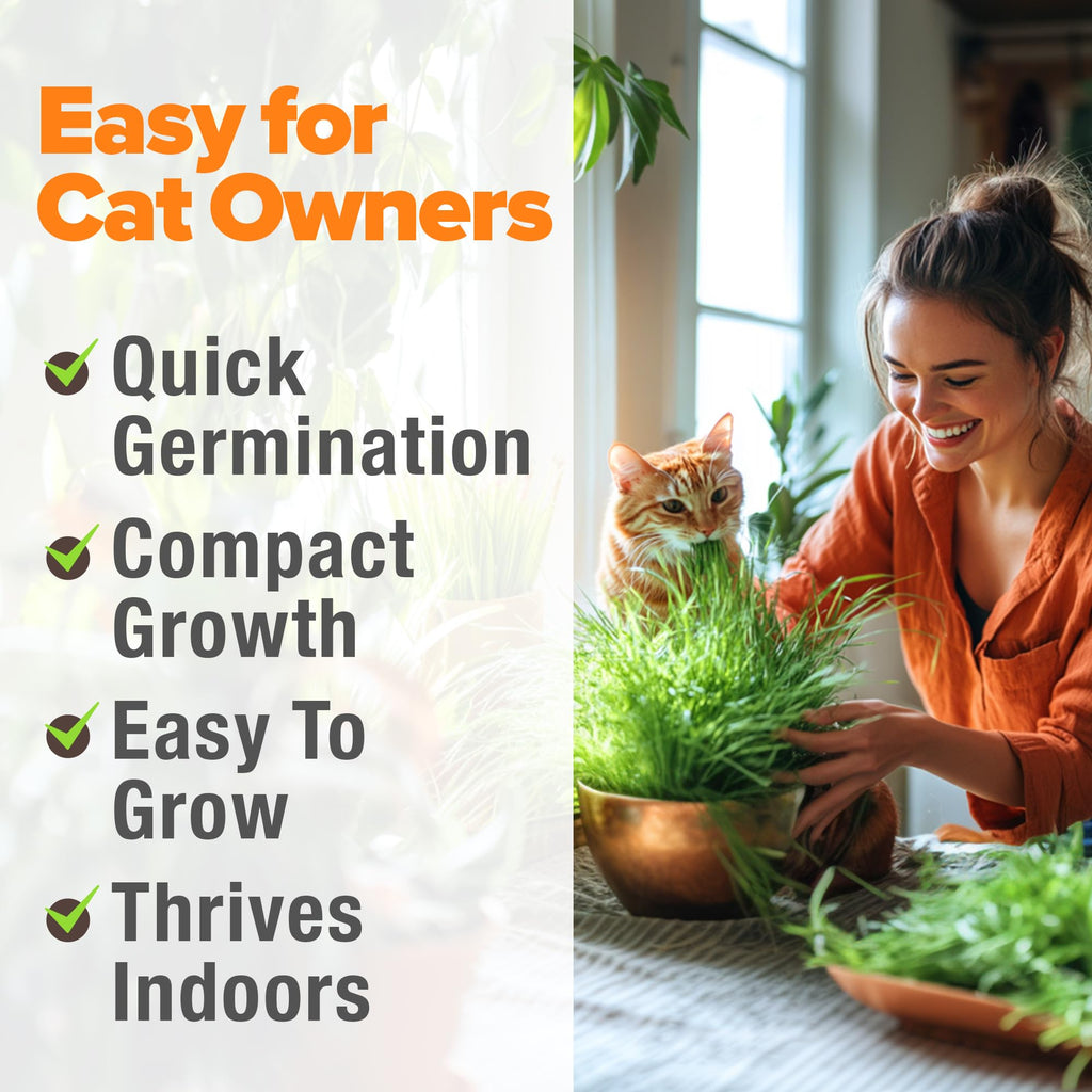 Organic Cat-Grass Seed Mix 4 oz B8279