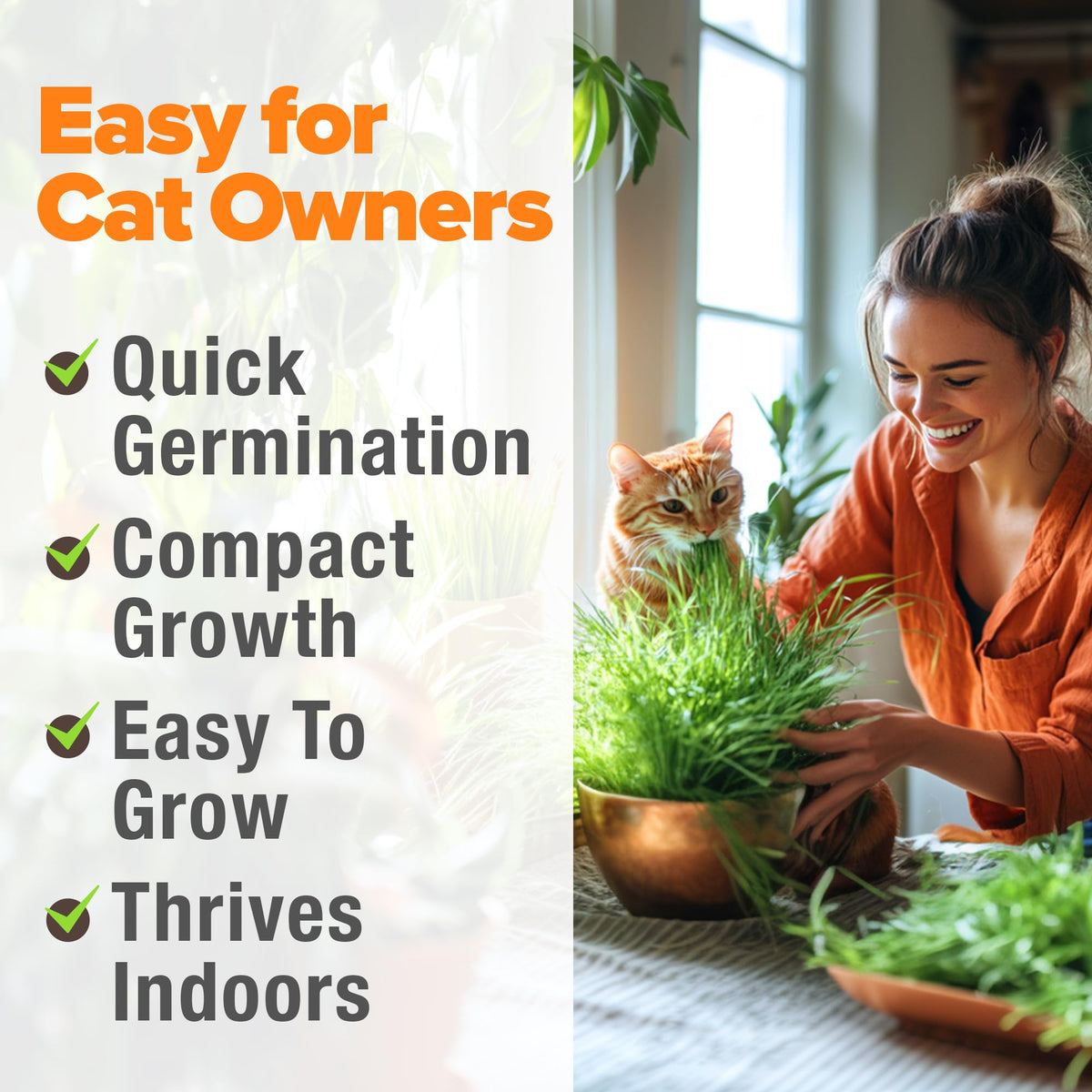 Cat Grass Seeds 4 oz Oat & Barley Mix B945