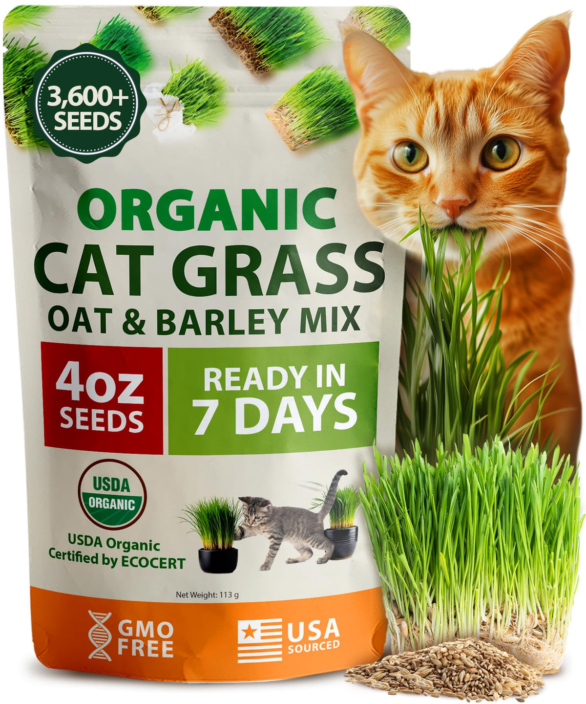 Organic Cat-Grass Seed Mix 4 oz B8279