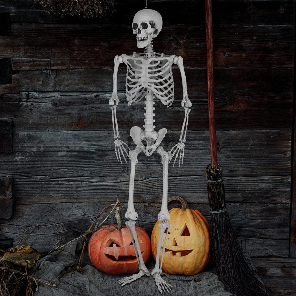 5.4 Ft Lighted Life Size Plastic Skeleton with Movable Joint Q6029