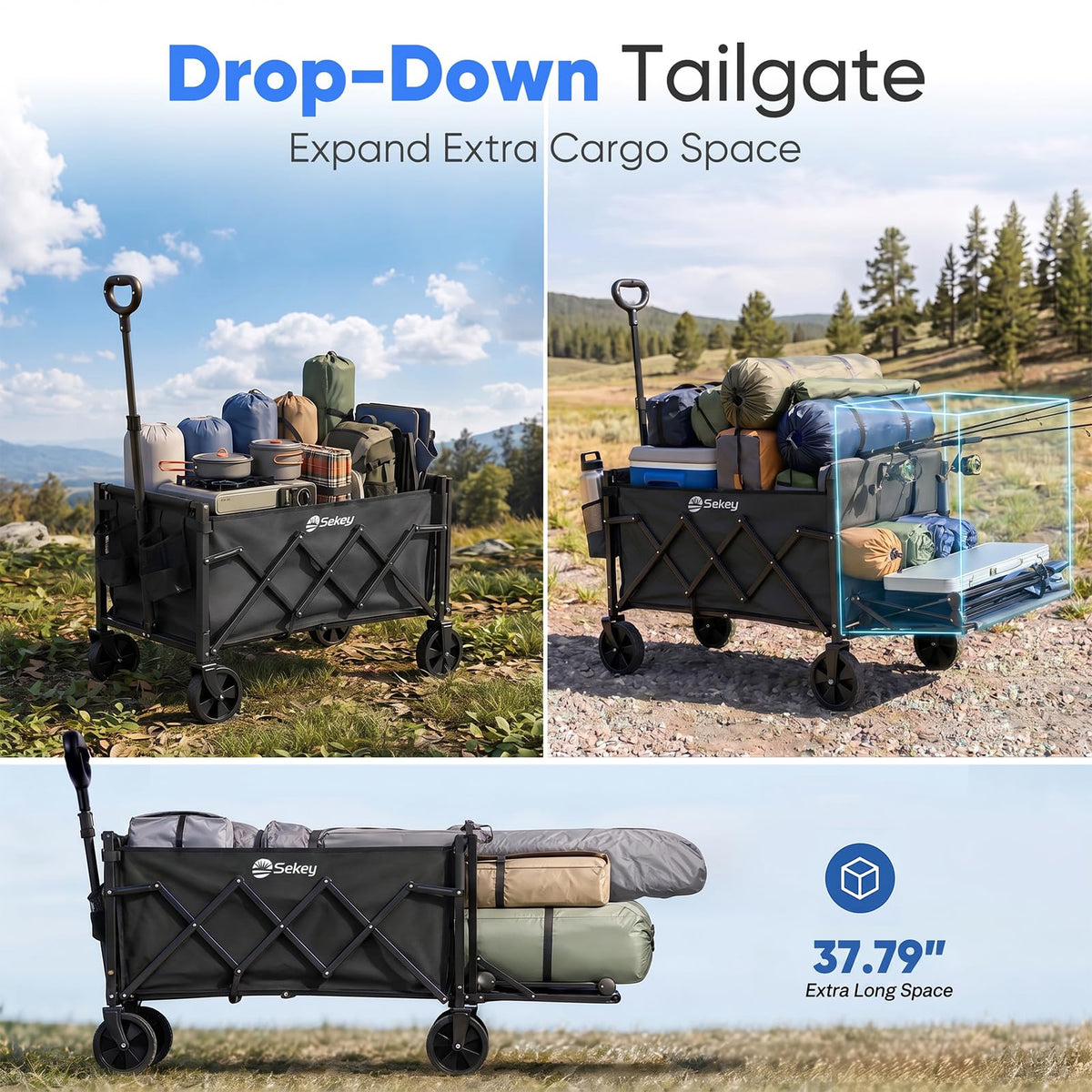 Collapsible Wagon with Tailgate, 300 lb Capacity Z653