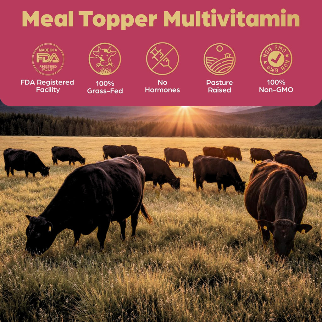 Beef Organ Bone Broth Meal Topper for Dogs Q633