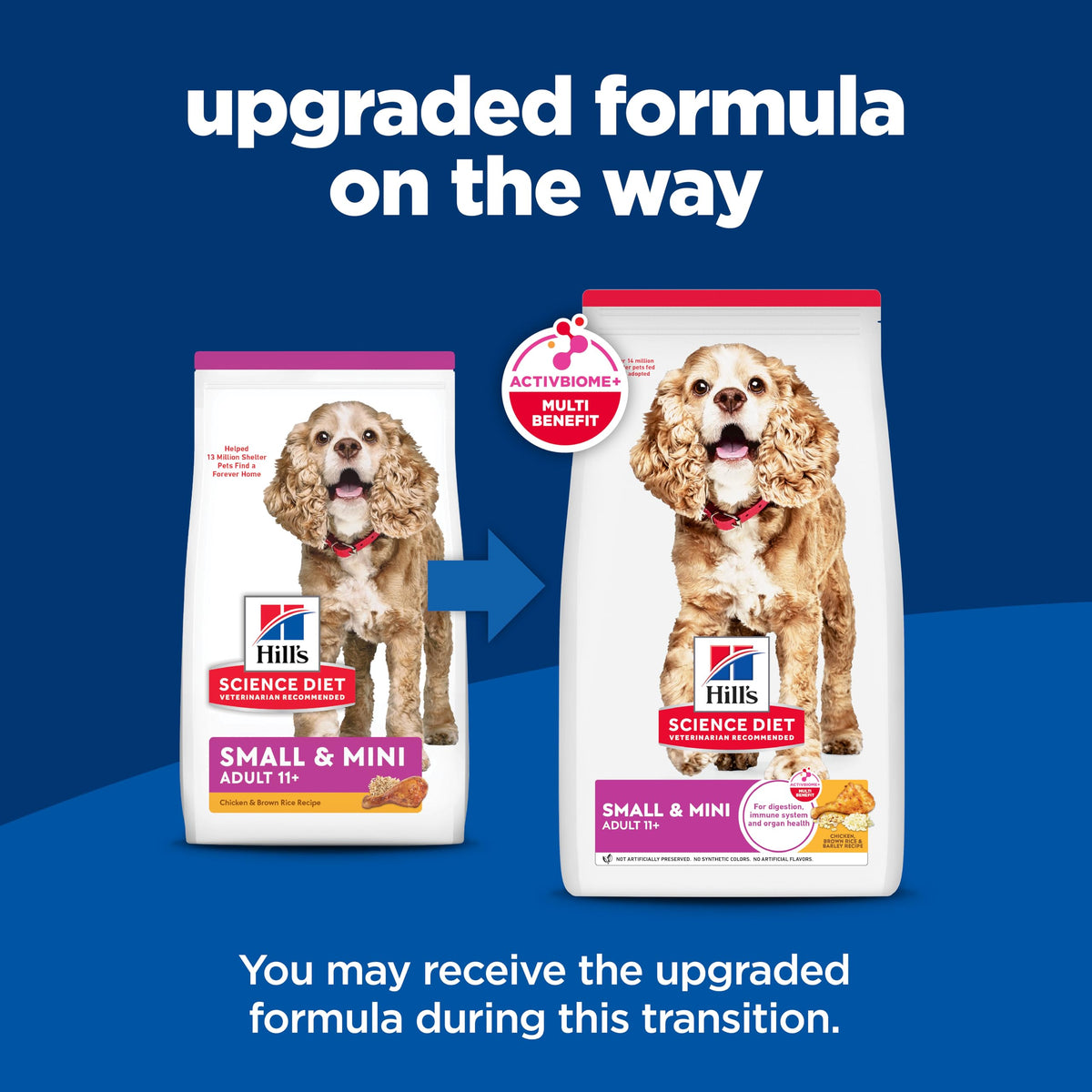Dry Dog Food K649728