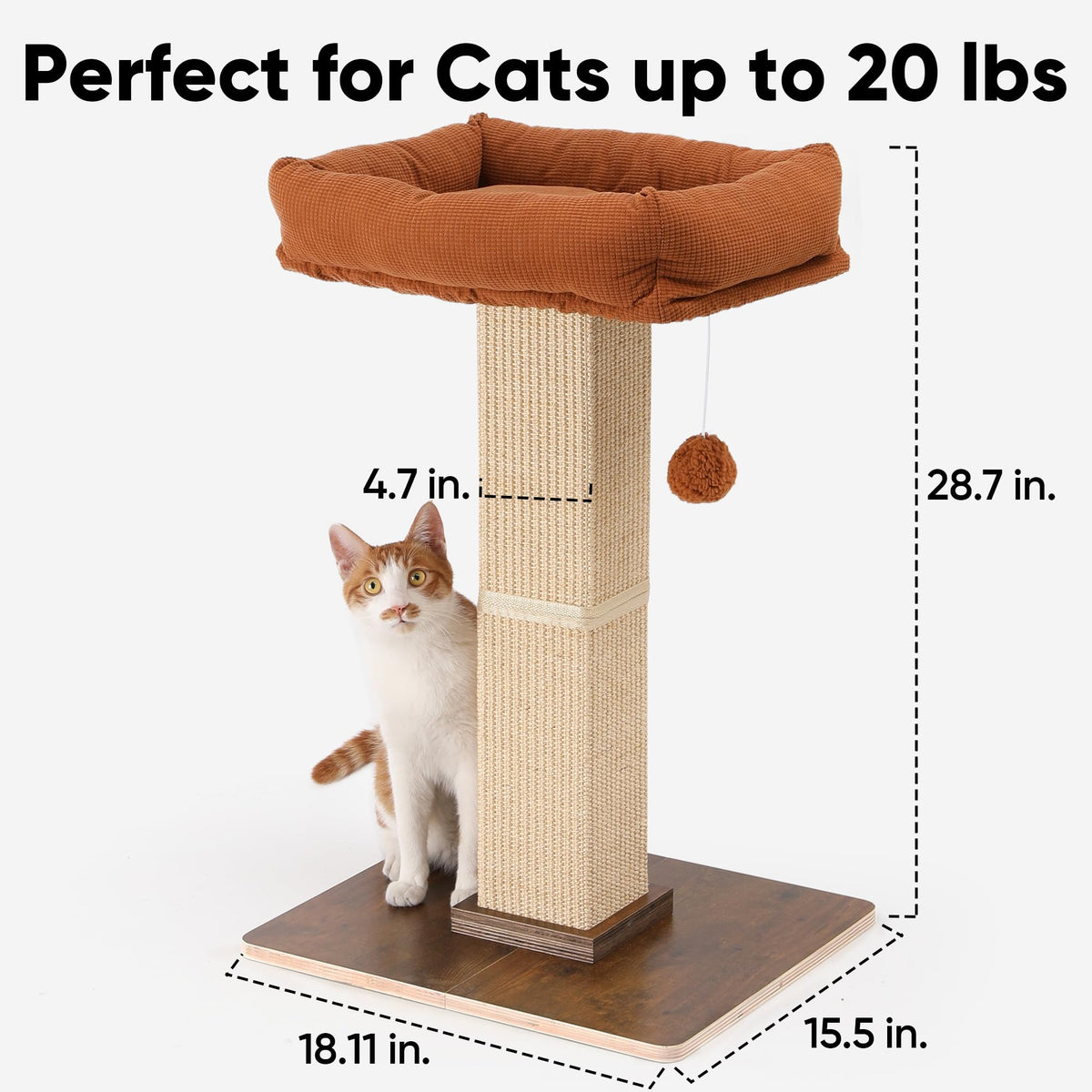 Cat Scratching Post with Perch X887