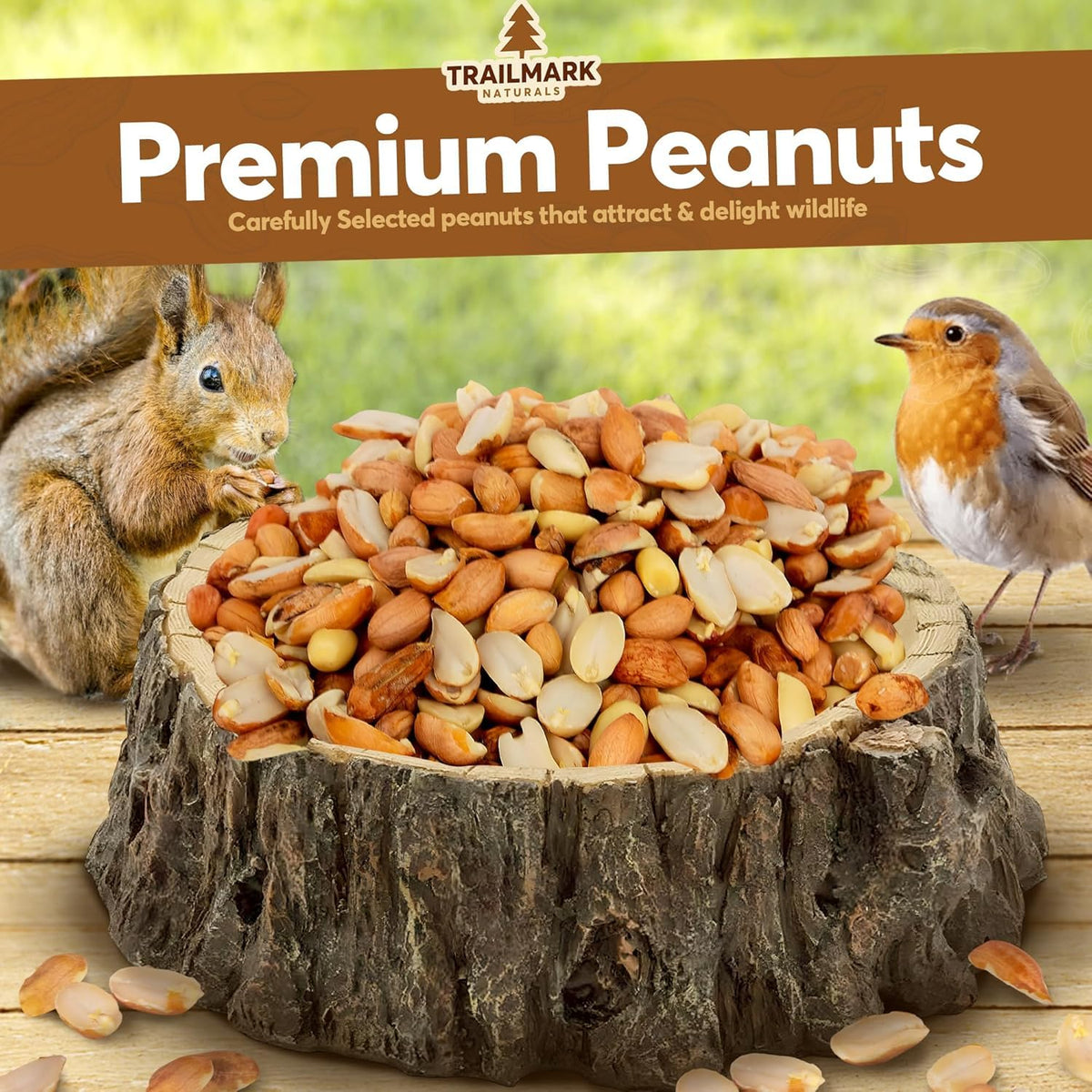 Raw Shelled Peanuts T854025