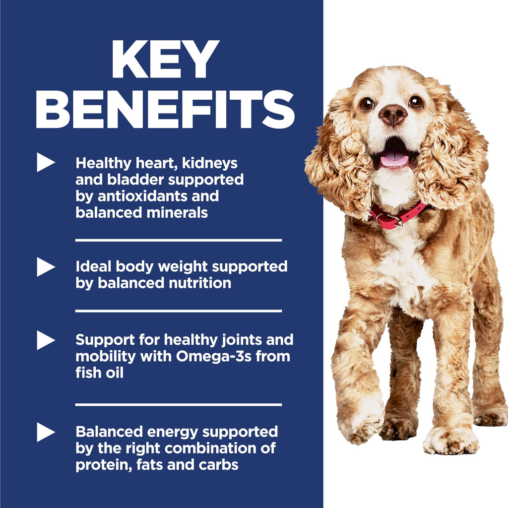Dry Dog Food K649728