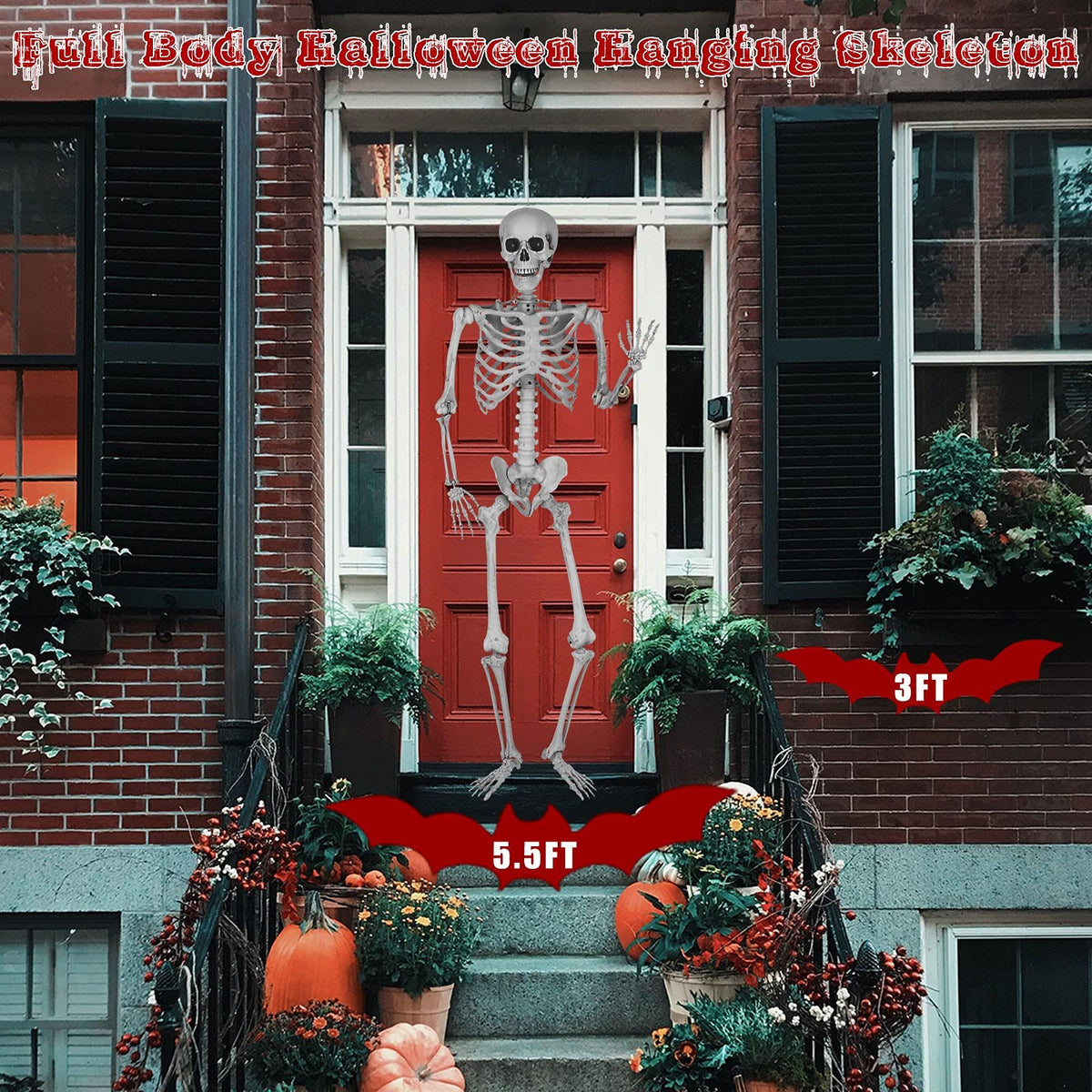 5.4 Ft Lighted Life Size Plastic Skeleton with Movable Joint Q6029