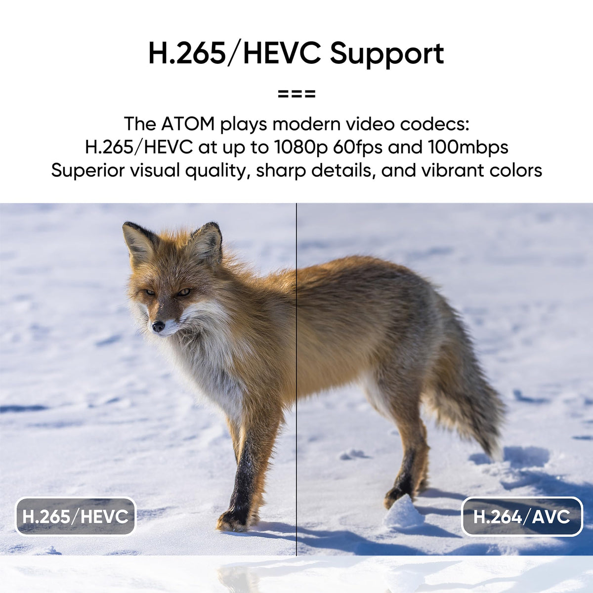 1080P Full-HD Digital Media Player I91956