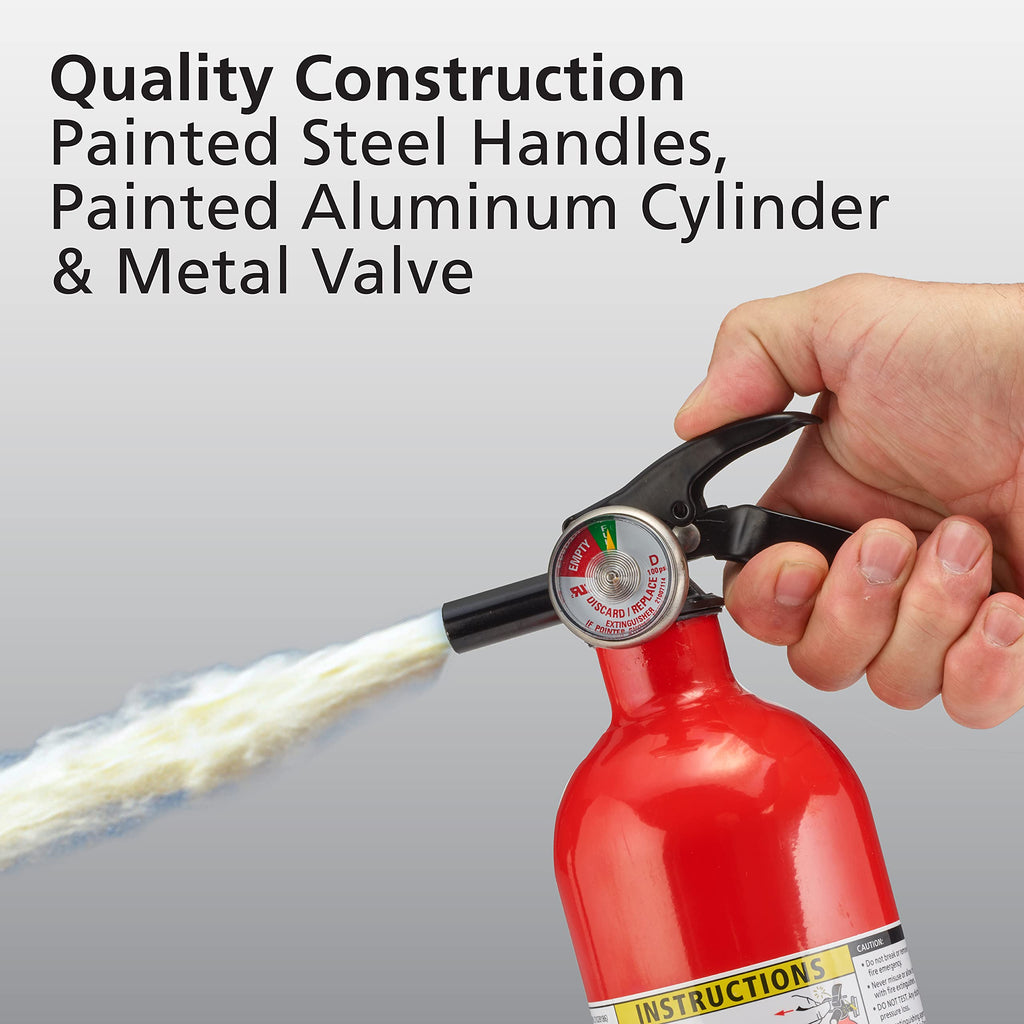 White 3.9 Lbs. Fire Extinguisher with Wall Mount I25083