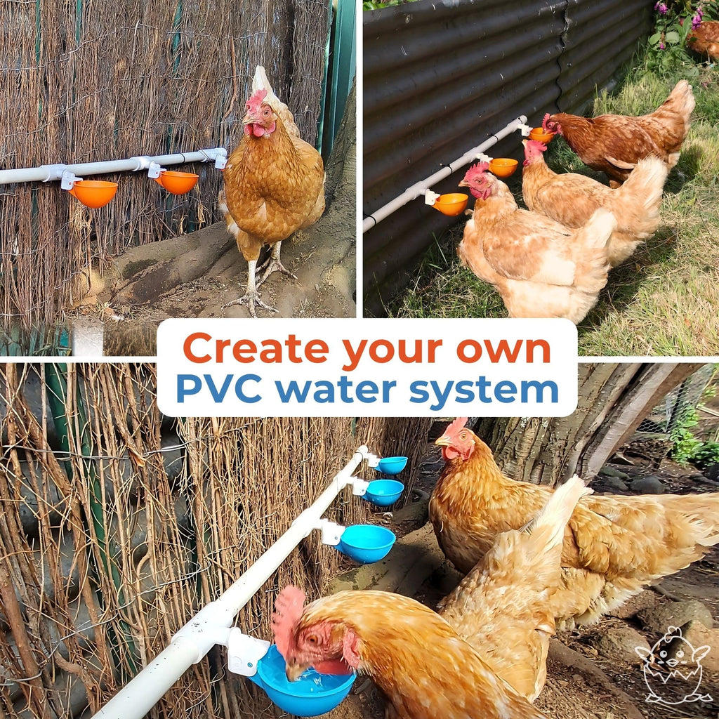 Large Automatic Chicken Waterer Cups with 1/2" PVC Tee Fittings 5-Pack Q2718