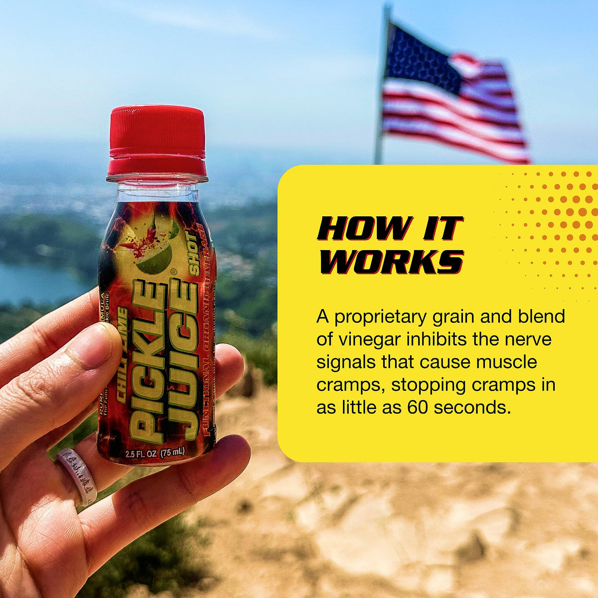 2.5 oz Pickle Juice Shots 24 Pack E163