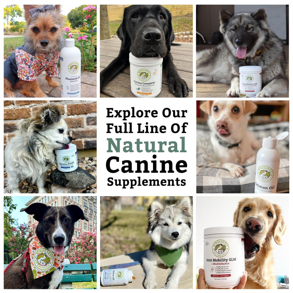 Organic Dog Vitamins, 1 Lb, 45 Scoops K45953